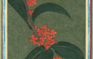 キンモクセイ - ちかこ