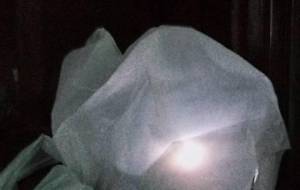 棄却のいのち - 真鍋哲地