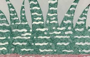 我が家の多肉植物 - 橘 木竜