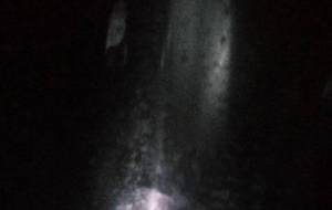 現代的炎水墨画写真主義 - 真鍋哲地