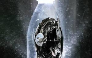 廃棄物水墨写真ブラック - 真鍋哲地