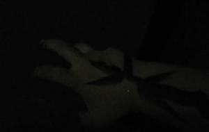 闇夜の魔神ペイント - 真鍋哲地