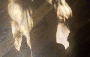 影絵仏 - 真鍋哲地