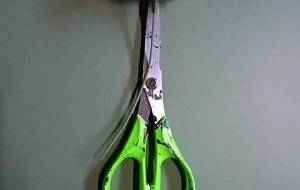 残酷なものより温もりのほうがいいネ - 真鍋哲地