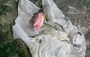 廃棄物造花愛 - 真鍋哲地