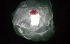 幻影の造花 - 真鍋哲地