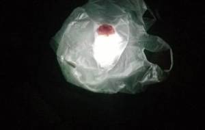 廃棄物の造花 - 真鍋哲地