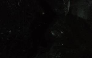 廃棄物の涙思い - 真鍋哲地