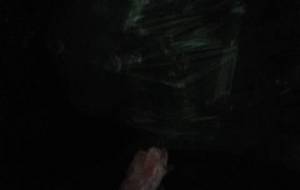 廃棄物健康的に健全生活 - 真鍋哲地