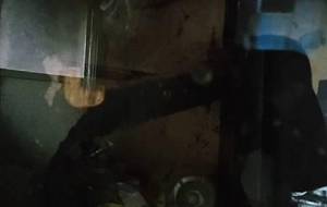 家族が出したごみすら愛せます - 真鍋哲地