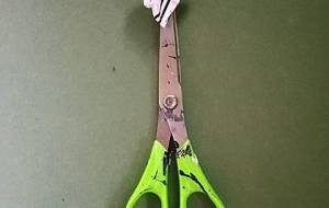 残り絵の具自分憂鬱 - 真鍋哲地