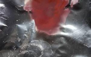 投影症候群の造花 - 真鍋哲地 