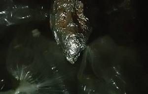 生まれ変わる再資源 - 真鍋哲地