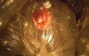 母さん造花の向こう - 真鍋哲地