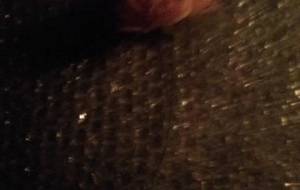 目映い母さんありがとう - 真鍋哲地