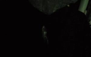 心配心配です - 真鍋哲地