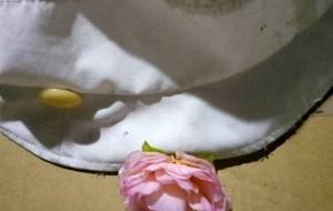 優しかった母さん思い出すと涙がでてきます - 真鍋哲地