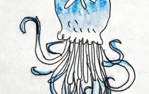 ミズクラゲモドキ - 空叶論