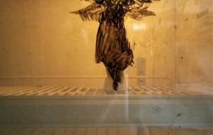 天使廃墟 - 真鍋哲地