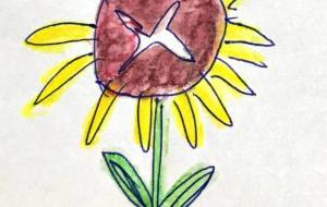 ひまわりもどき - 空叶論