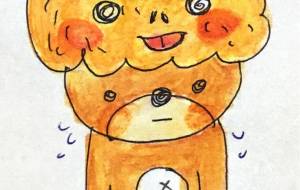 かぼちゃとクマ - 空叶論