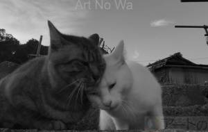 ねこ−6 - うっち