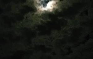 我まるで月夜の悪魔みたいに - 真鍋哲地