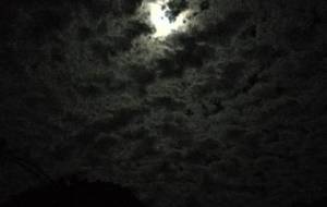 我月夜に魔物の唄を、歌う、 - 真鍋哲地