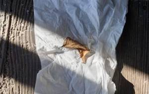 廃棄物、君のお気に入りのベッド - 真鍋哲地