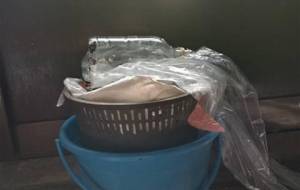 光さすお気に入りのベット - 真鍋哲地