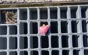 大丈夫? - 真鍋哲地