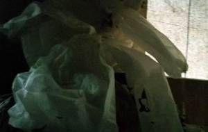 朝日の廃棄物 - 真鍋哲地