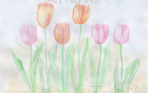 チュ-リップ - ゆふーち