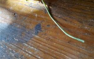 造花、心、光 - 真鍋哲地