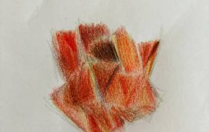 折り紙の薔薇の花 - 星瑞紅