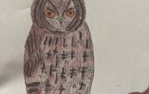 オオコノハズク - コノハズク