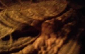 インスタレーション月開拓地 - 真鍋哲地