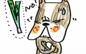 NO!ネギ! - 空叶論
