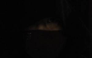 太陽が我を殺す太陽が我を - 真鍋哲地