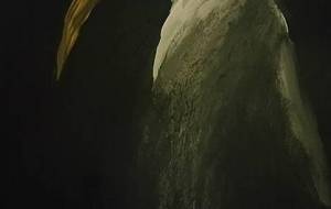 死神修羅 - 真鍋哲地