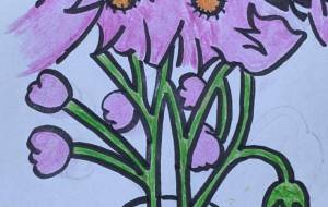 秋桜 - チャーミー