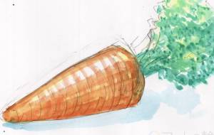 にんじん - Hagane