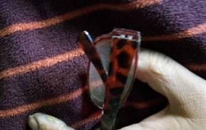 悲しいけど母さん思い出抱きしめて - 真鍋哲地