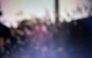 面白半分の写真や絵画はいらない - 真鍋哲地