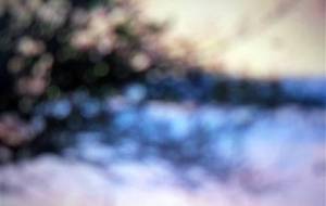 夢を見た母さんが死んでしまう夢、母さん - 真鍋哲地