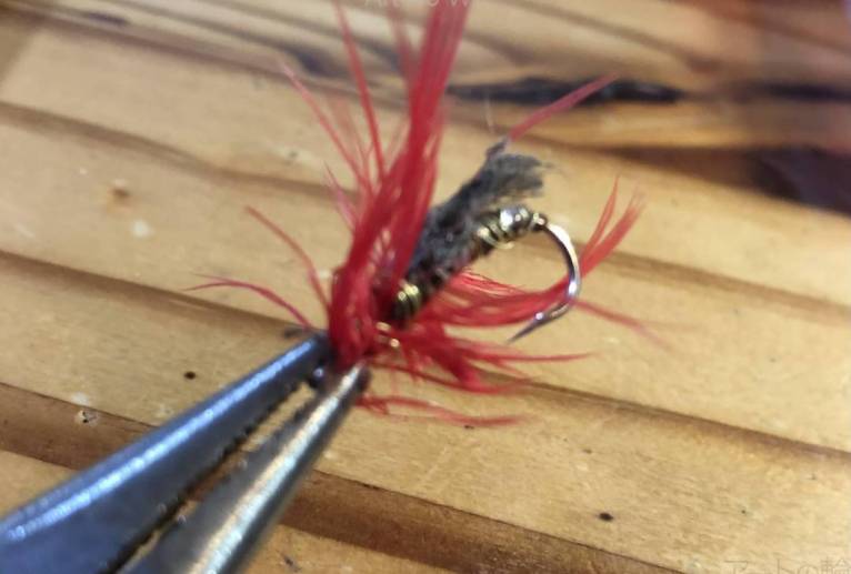 フェニックスフライ - 水谷裕元 