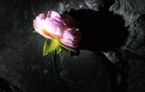 廃墟の神聖花 - 真鍋哲地 