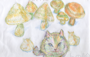 ネコ 11 - ゆふーち