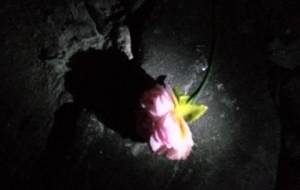 心、僕、心、母さん - 真鍋哲地