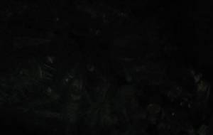 汚れた自分壊れた家族 - 真鍋哲地